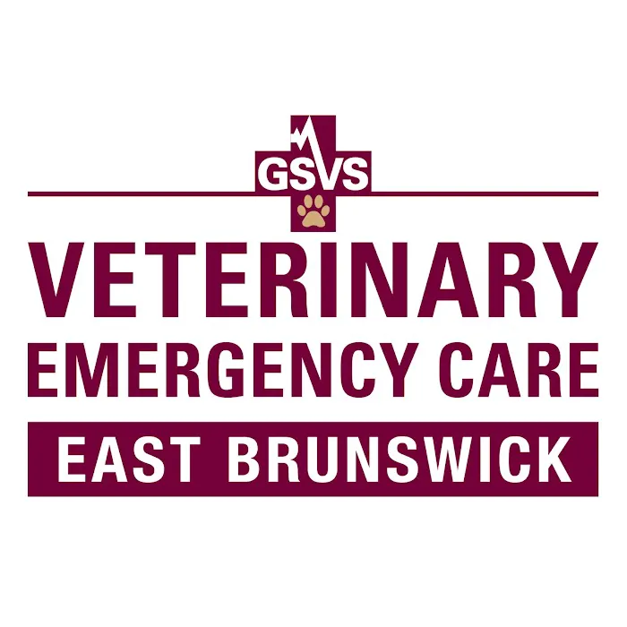 GSVS Veterinary Emergency Care East Brunswick 12