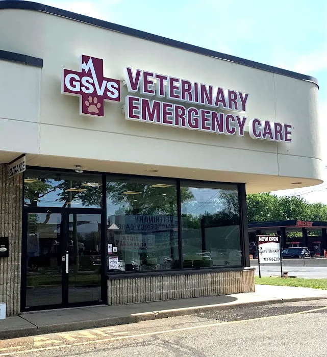 GSVS Veterinary Emergency Care East Brunswick 12