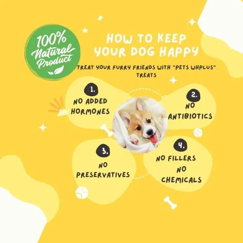 Pets WHplus 12