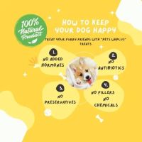 Pets WHplus ico