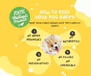 Pets WHplus