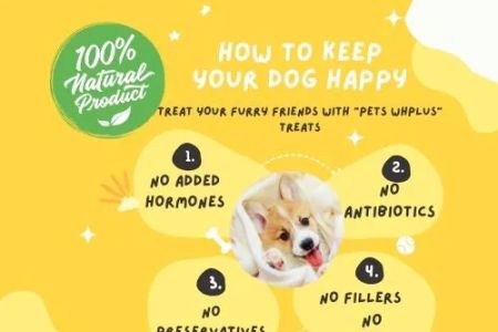 Pets WHplus