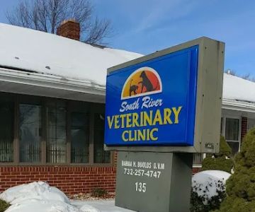 South River Veterinary Clinic: Boulos B DVM