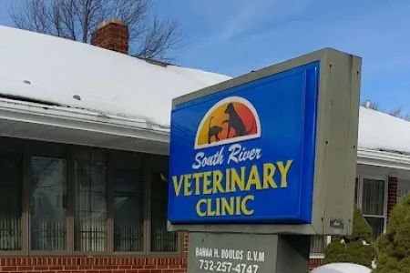 South River Veterinary Clinic: Boulos B DVM