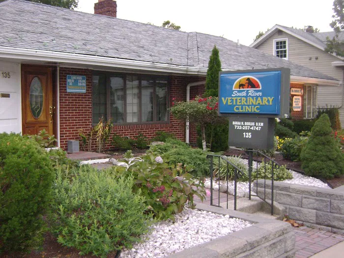South River Veterinary Clinic 12
