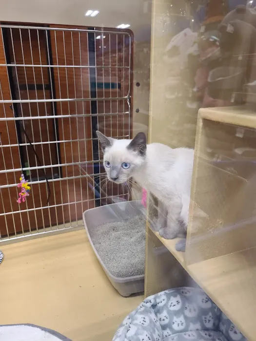 Banfield Pet Hospital 12