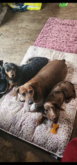 Banfield Pet Hospital 12
