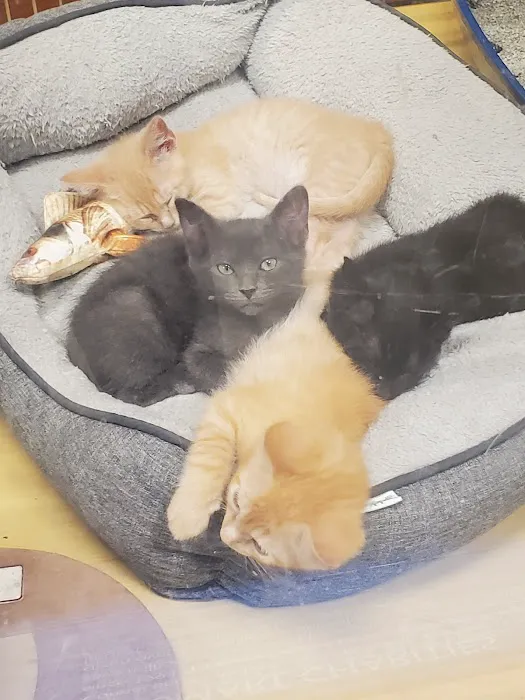 Banfield Pet Hospital 12