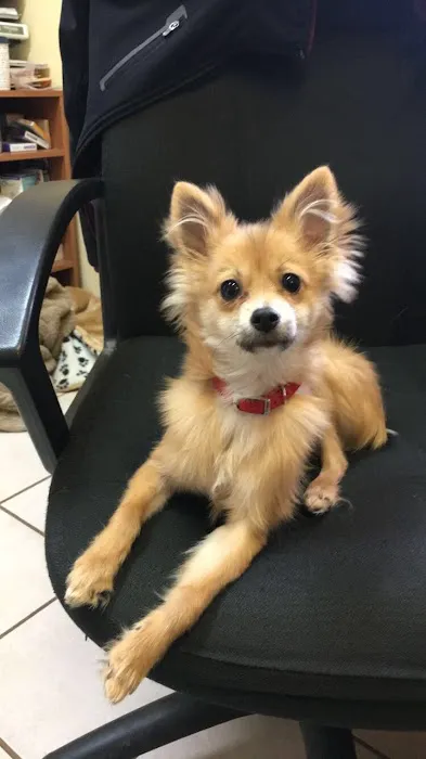 Easton Animal Clinic 12