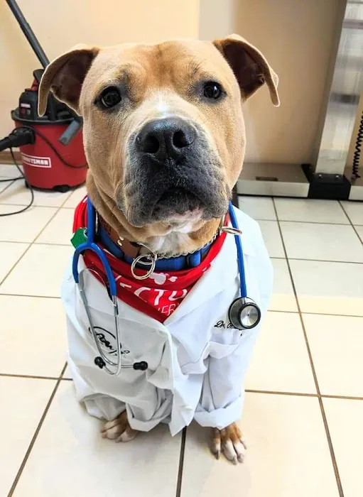 Easton Animal Clinic 12