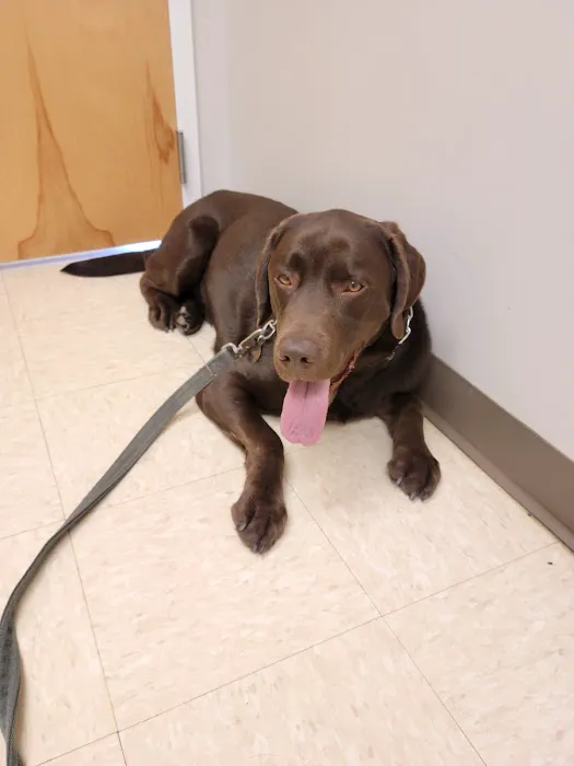 Route 516 Animal Hospital 12