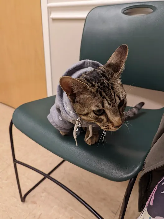 Route 516 Animal Hospital 12