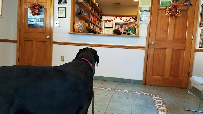 Matawan Animal Hospital 12