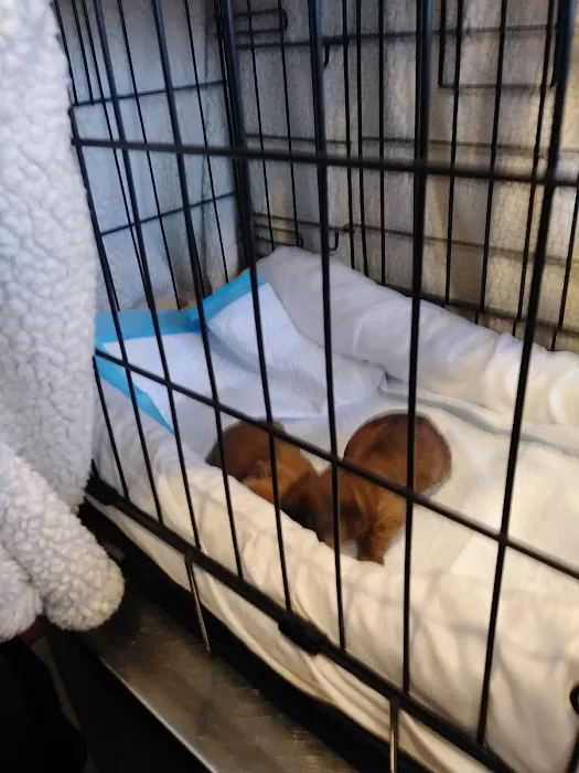 Matawan Animal Hospital 12