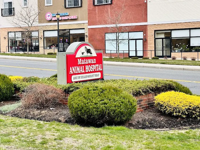 Matawan Animal Hospital 12