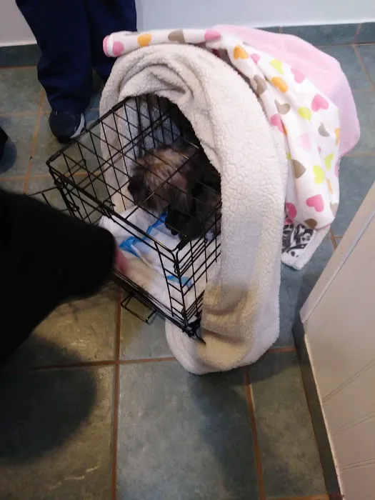 Matawan Animal Hospital 12