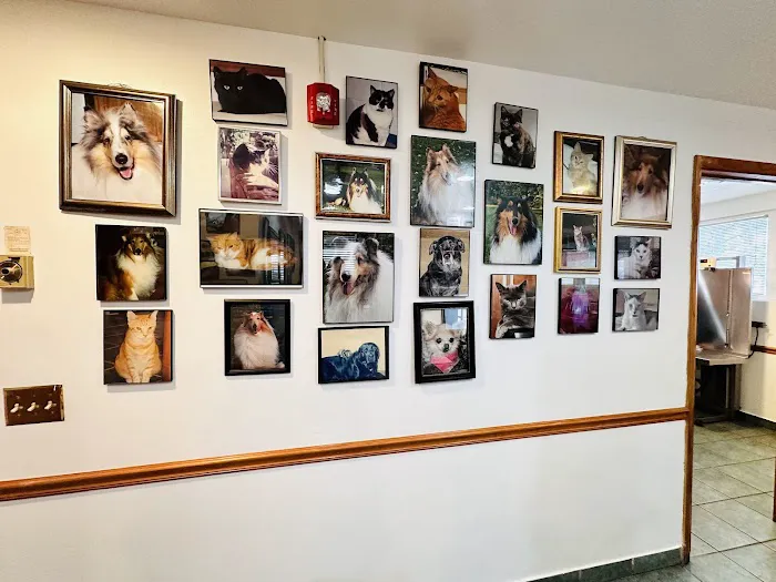 Matawan Animal Hospital 12