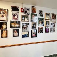 Matawan Animal Hospital ico
