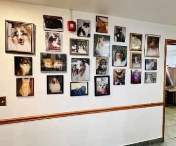 Matawan Animal Hospital