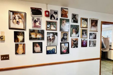 Matawan Animal Hospital