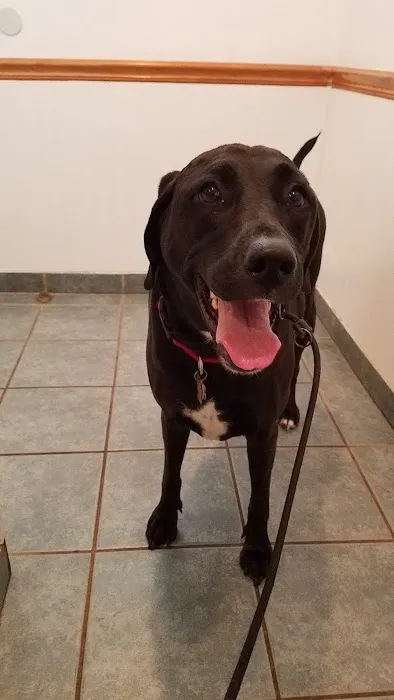 Matawan Animal Hospital 12