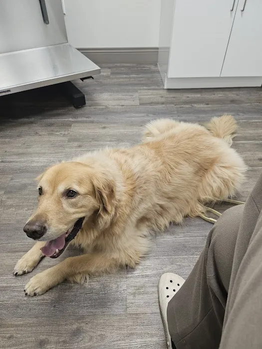WellPet Veterinary Group 2