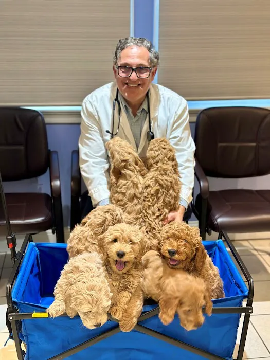 All Pets Vet Hospital 12