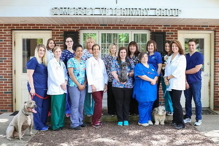 Somerset Veterinary Group 7
