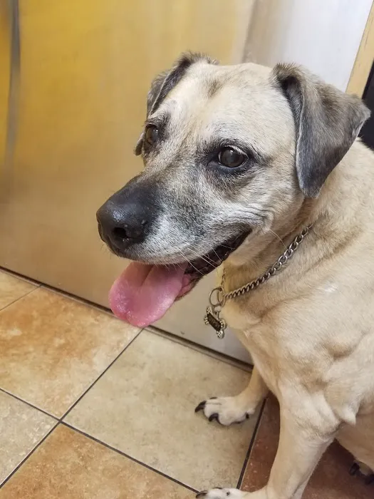 Banfield Pet Hospital 8