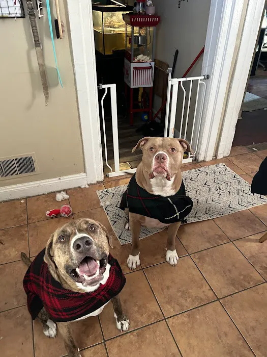 Banfield Pet Hospital 6