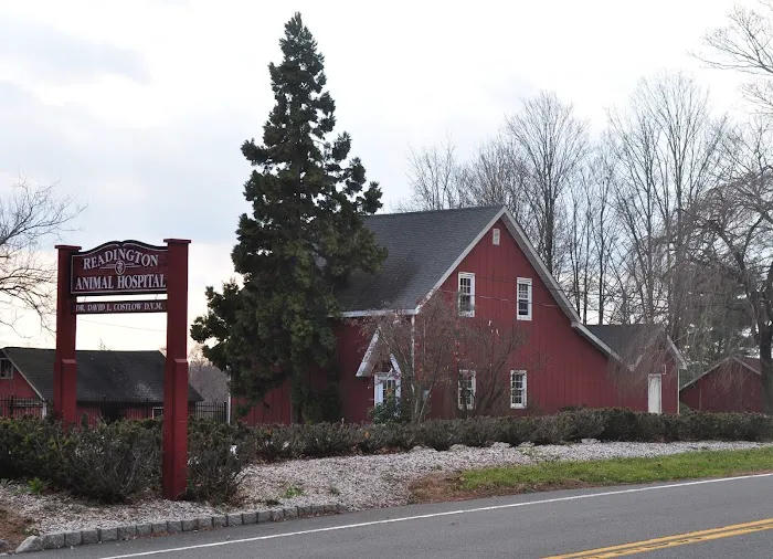 Readington Animal Hospital 12