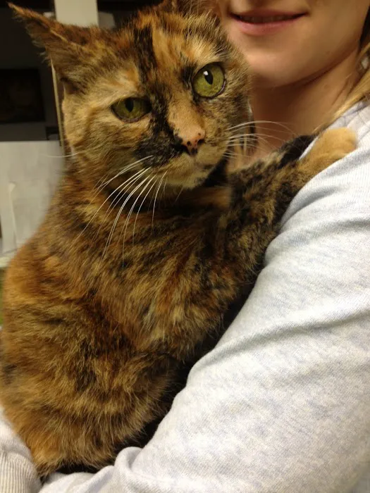 Readington Animal Hospital 12