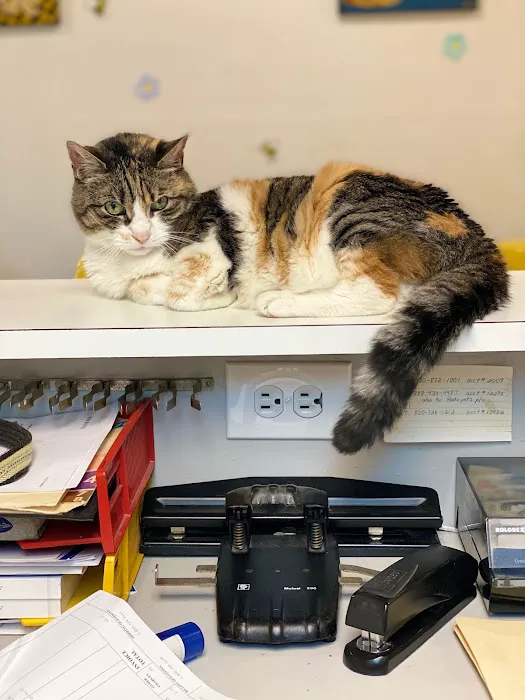 Readington Animal Hospital 12