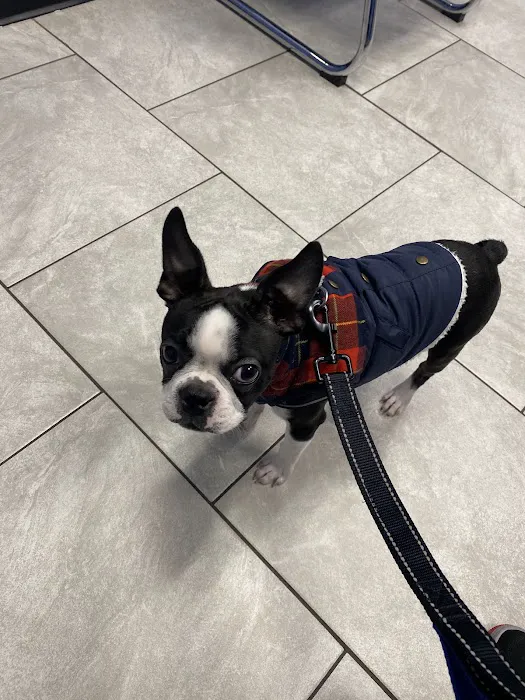 Happy Pets Veterinary Hospital, INC 2
