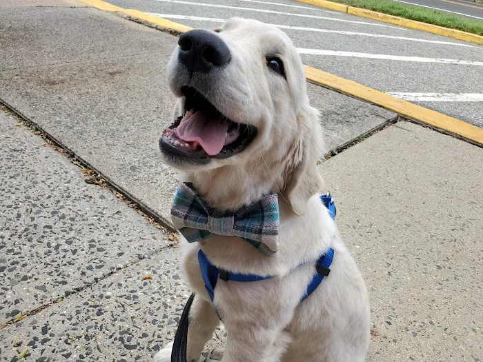 Happy Pets Veterinary Hospital, INC 7