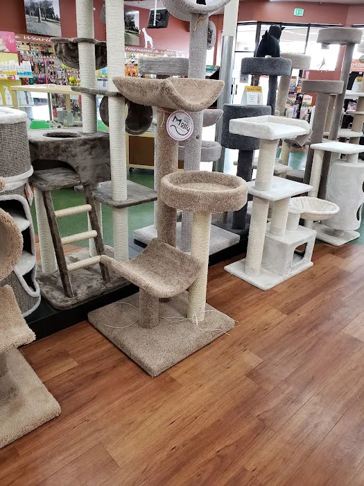 Pet Supermarket 12