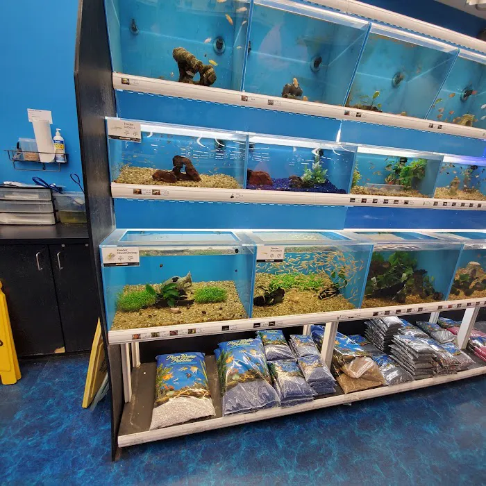 Pet Supermarket 12