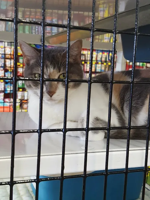 Pet Supermarket 12