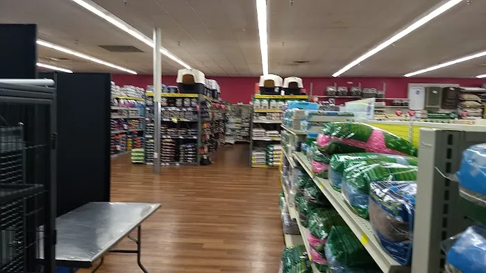 Pet Supermarket 12