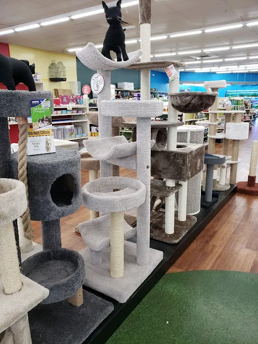 Pet Supermarket 12