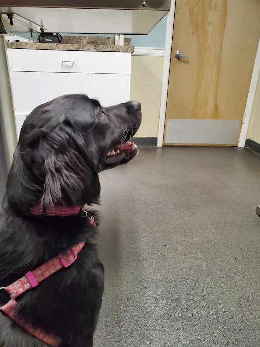 Bound Brook Veterinary Clinic 12