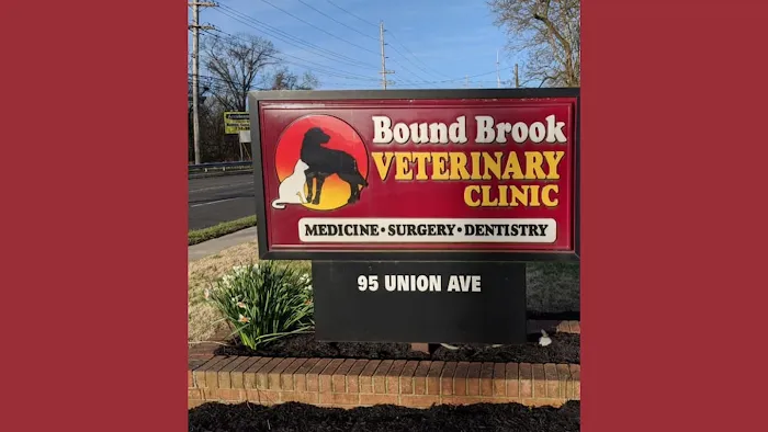 Bound Brook Veterinary Clinic 12