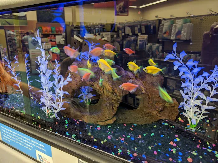 Petco 12