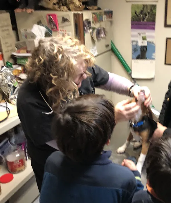 Milford Veterinary Clinic 12