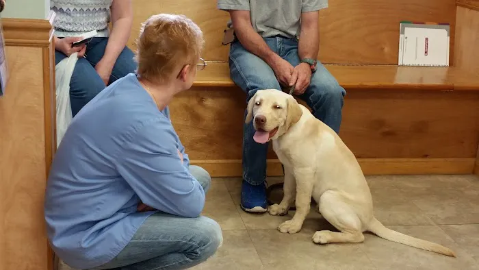 Mill Pond Veterinary Clinic & Kennel 12