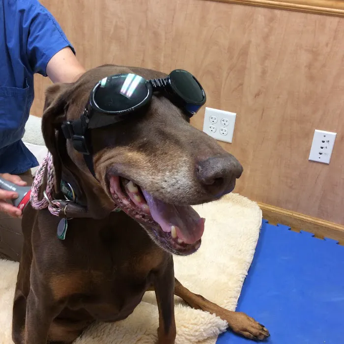 Mill Pond Veterinary Clinic & Kennel 12