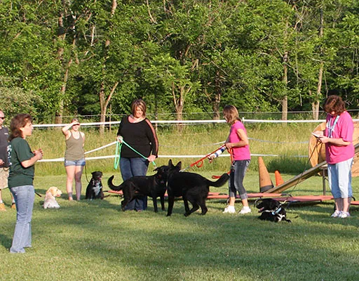 Mill Pond Veterinary Clinic & Kennel 12
