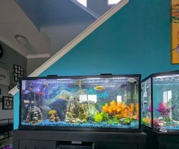 Tide & Stream Aquatics