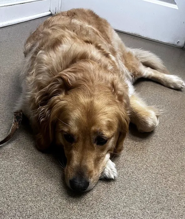 Quakertown Veterinary Clinic 12