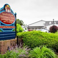Quakertown Veterinary Clinic ico